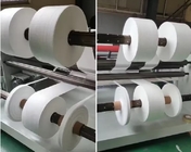Plastic Polyester Film Coil Cutting Rewinding Machine